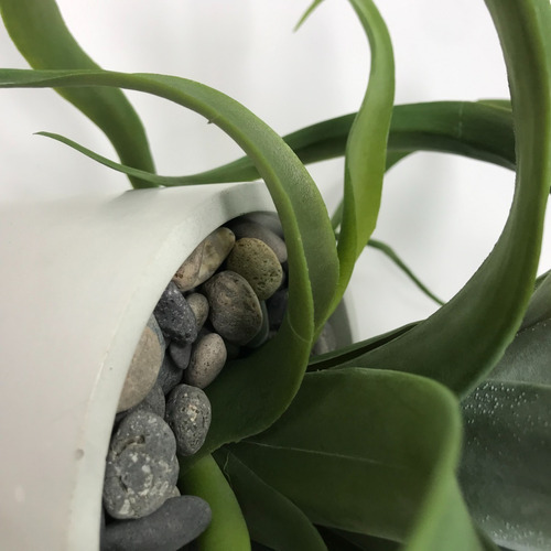 Planta Tillandsia Artificial Con Maceta Decorativa Concreto