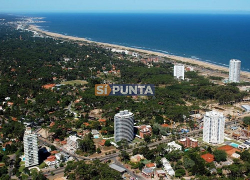 Imagen 29 de 30 de Apartamento En Venta - Roosevelt