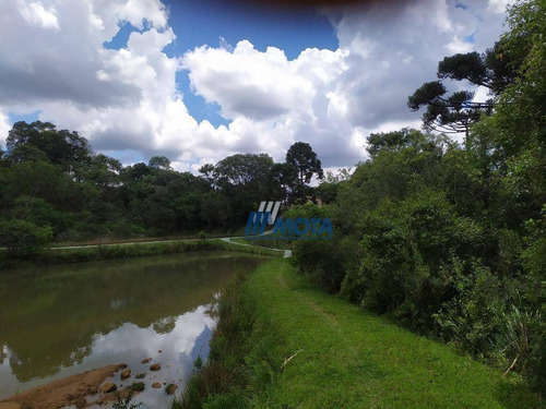 Chácara Com 5 Dormitórios À Venda, 45824 M² Por R$ 850.000 - Quatro Pinheiros - Mandirituba/paraná - Ch0173