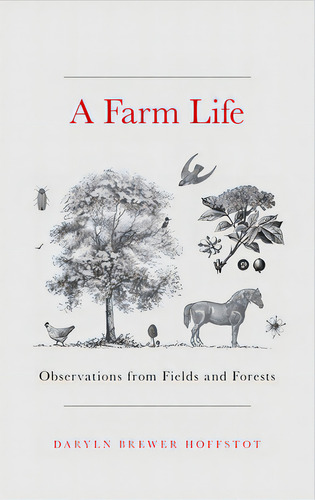A Farm Life: Observations From Fields And Forests, De Hoffstot, Daryln Brewer. Editorial Stackpole Co, Tapa Dura En Inglés