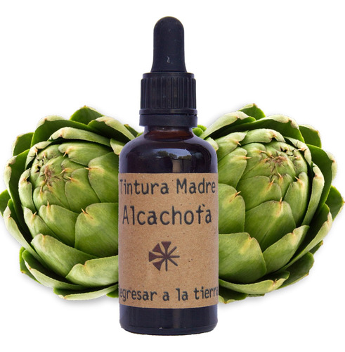 Tintura Madre De Alcachofa - Alcaucil 50ml (hígado, Detox)