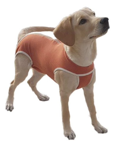 Body Castracion Perro Gato Unisex Con Cobre - T4 / 6 A 7.5kg