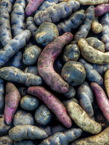 Papas Nativas (8 Kg) - El Huerto De Chiloé