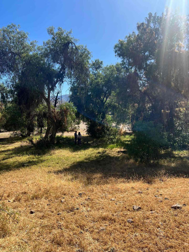 Terreno Punitaqui, Ovalle