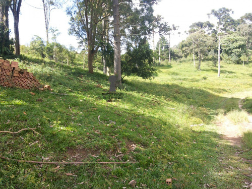 Chácara A Venda No Bairro Centro Em Bocaiúva Do Sul - Pr. - 371-1