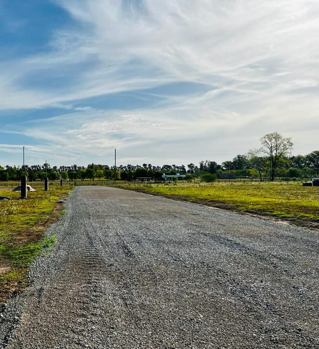 Terreno En Manzanares - Lomas De Manzanares