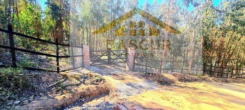 Venta De Sitio En Santa Rosa De Bucalemu