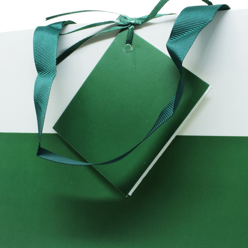 Sacola Para Presente Verde E Branca Com Cartão 24x24 Cm