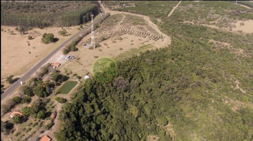 Imagem 5 de 24 de Excelente Sítio À Venda Com Ponto Comercial - Distrito De Piramboia - Anhembisp - 00038