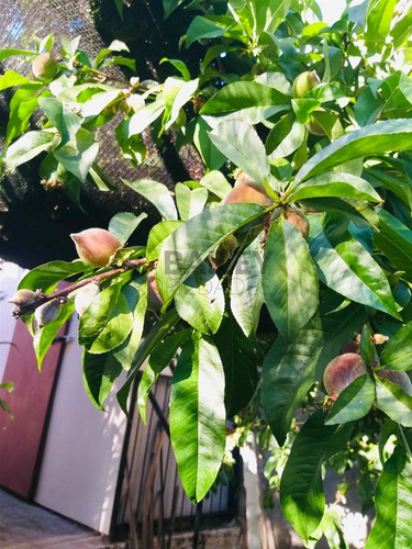 Se Vende Casa Esquina Quilpué