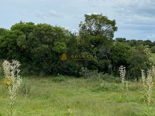Campo En Garzon - Ideal Para Uso De Descanso - Consulte!!!!- Ref: 3606