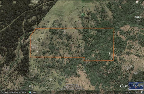 Campo En Venta En Lavalleja. 21 Hectáreas.