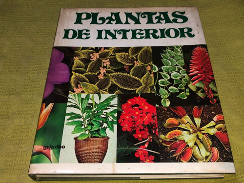 Plantas De Interior - Pizetti - Grijalbo