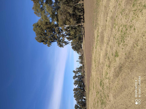 Imagen 7 de 7 de Lote Y Terreno En Venta En Cañuelas 900 M2
