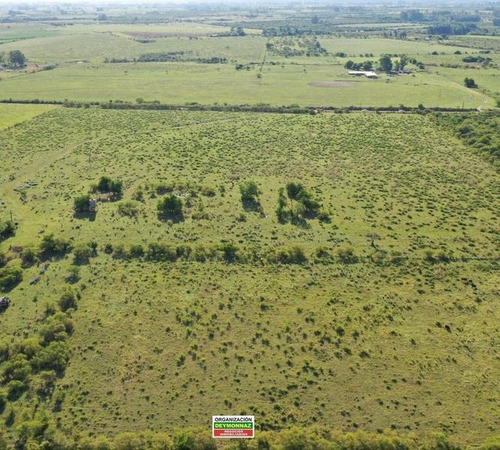 Imagen 12 de 12 de Lotes Rurales De 3,5 Has Cada Una En Ejido Colón