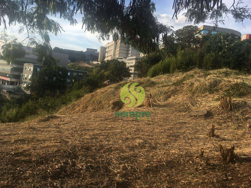 Imagem 15 de 15 de Terreno Para Alugar, 1200 M² Por R$ 2.000,00/mês - Estoril - Belo Horizonte/mg - Te0041