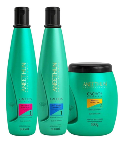 Aneethun Kit Cachos System Shampoo E Máscara