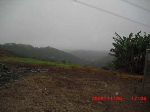 Imagem 6 de 11 de Sitio 25 Alq. (2 Casas E Estufa)