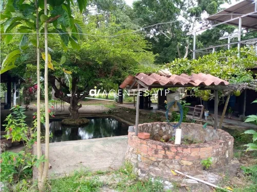 San Vicente Estado Monagas