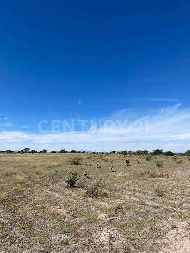 Lote En Venta En Predio El Águila, El Llano, Aguascalientes