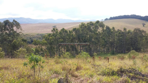 Chácara A Venda Em Borda Da Mata - Ete391