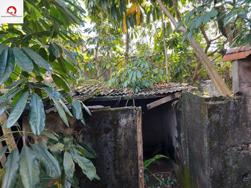 Imagem 7 de 7 de Terreno Com Documentação Regularizada À Venda - Em Ótima Localidade No Bairro Santa Rosa - Te00019 - 69839962