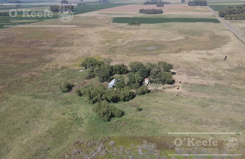 Imagen 2 de 18 de Chacra En Venta De 40 Has - En Saladillo Campo Mixto Con Mejoras