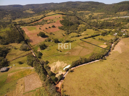 Terreno Em Dom Feliciano - El56353207