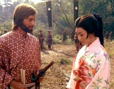 Imagen 6 de 10 de Shogun 1980 Miniserie (audio Latino)