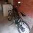 Mororizada