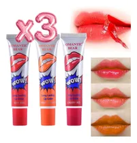 Comprar Trio Labial Tinta Indeleble Larga Duración Lip Gloss F