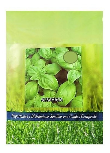 Semillas De Albahaca Por 1 Gr (planta Aromatica)