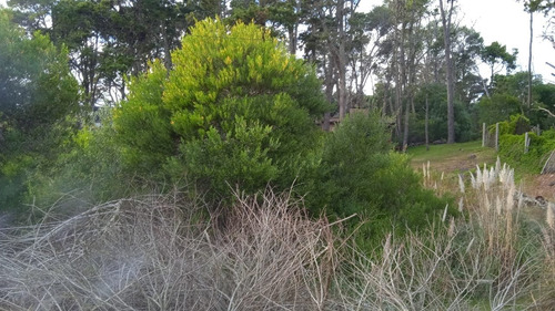 Imagen 3 de 3 de Lote En Mar Azul