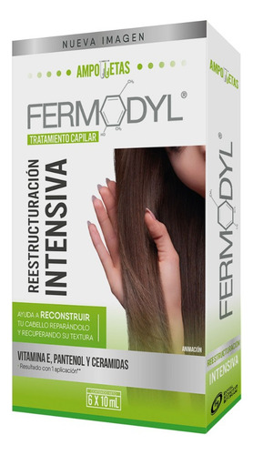 Tratamiento Ampolleta Fermodyl Reconstrucción 6 X 10 Ml