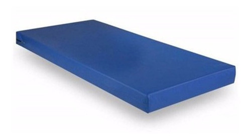 Cama Hospitalar Fawler 2 Movimentos Manual Luxo Com Colchão