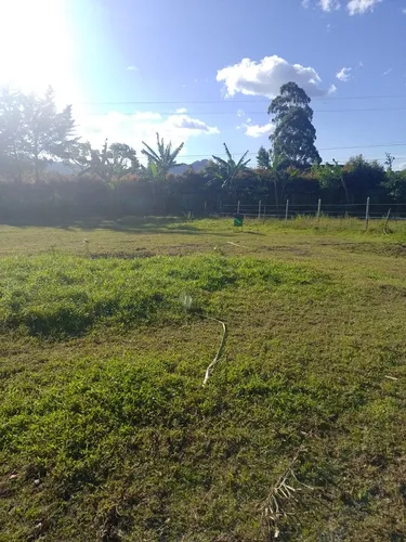 2 Lotes Super Planos En Venta En La Ceja(a 2,5 Km Via La Ceja- La Union)