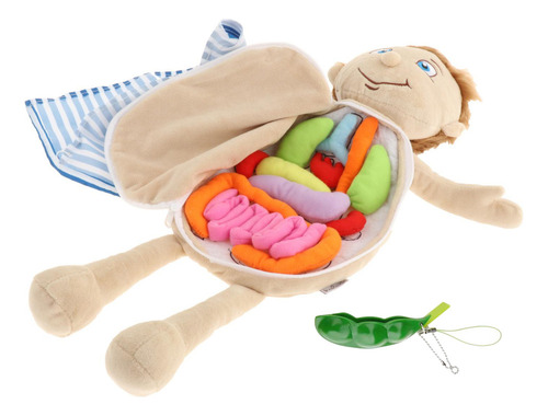 Juguetes Fisiológicos De Peluche De Órganos 3d, Conjunto