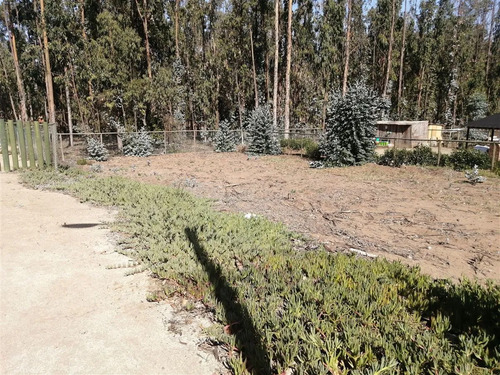Sitio Venta Costa Quilén 1, Caleta Horcón