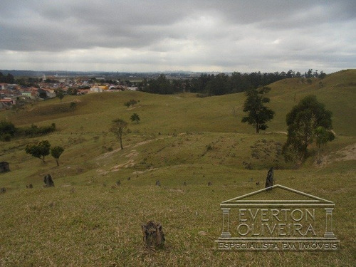 Imagem 15 de 15 de Area - Parque Imperial - Ref: 8800 - V-8800