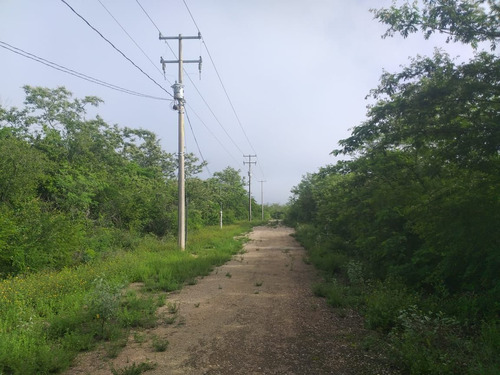 Terreno En Venta En Merida, Con Servicios Ubicado En Baca