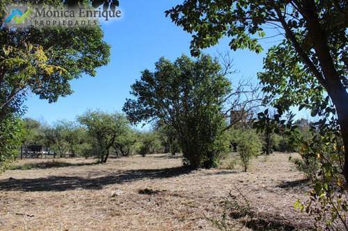 Lote De 1500m2 En Cerro De Oro, Sobre Calle Cuesta De La Granadilla