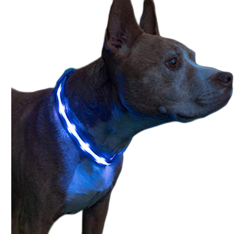 Blazin' - Collar Led De Seguridad Para Perro, Es Recargable 