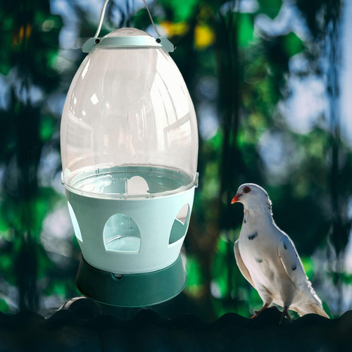 Bebedero De Agua Para Palomas 4l Verde 32.5cmx21cm
