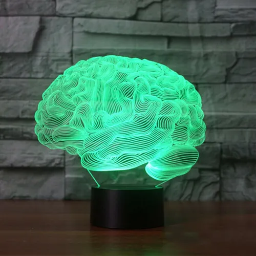 A 0x Decoraciones De Halloween 3d Cerebelo Humano Mod 3622