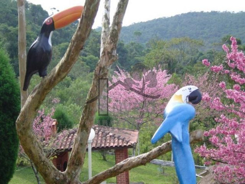 Cód 242 - Aceita Permuta Em Imóvel Em São Paulo - 242
