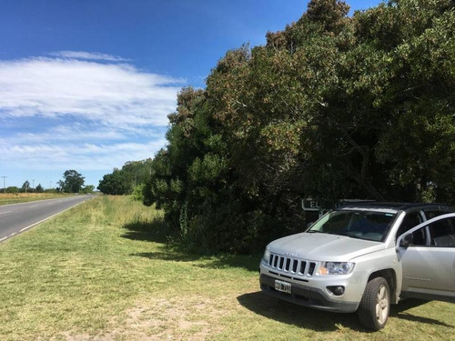 Imagen 4 de 30 de Campo En Venta En Bavio | Ruta 11 E/el Pino Y Km.42 (bavio) 19 Has