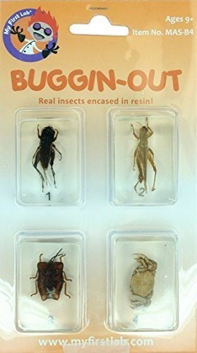 Mi Primer Laboratorio, Buggin-out Micro Fun Bug Set