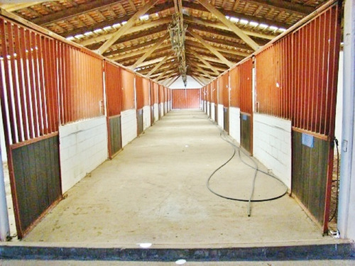 Imagen 7 de 14 de Excelente Rancho En Venta En Temascalcingo
