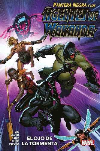 Pantera Negra Y Los Agentes De Wakanda 1 El Ojo De La Tormen