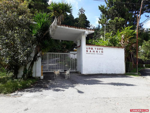 Imagen 9 de 9 de Terrenos En Venta